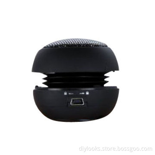 Mini Speaker